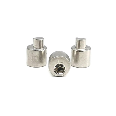 Achteraxle eccentric adjusting stainless steel-Schroef 4.9X10.5 Opgepoetste SUS304