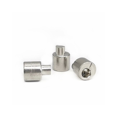 Achteraxle eccentric adjusting stainless steel-Schroef 4.9X10.5 Opgepoetste SUS304