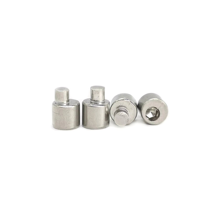 Achteraxle eccentric adjusting stainless steel-Schroef 4.9X10.5 Opgepoetste SUS304