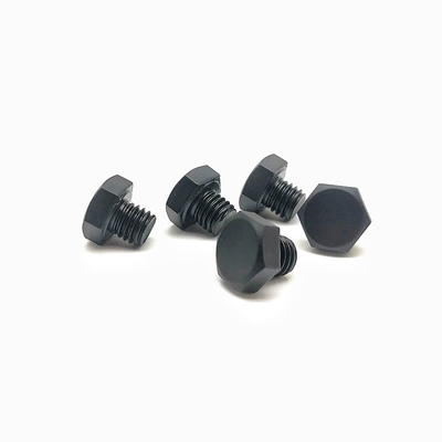 Elektroforetische het Roestvrije staalspijker van de douane Externe Hexagonale Decoratieve Schroef