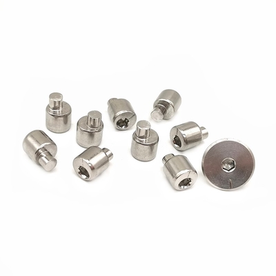 Precisie Roestvrijstalen Rollenband Excenter Schroef 304/316 Corrosiebestendig Aangepaste Maten & Oppervlakteafwerkingen