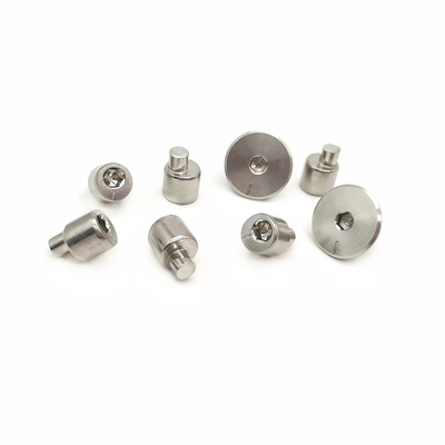 Precisie Roestvrijstalen Rollenband Excenter Schroef 304/316 Corrosiebestendig Aangepaste Maten & Oppervlakteafwerkingen