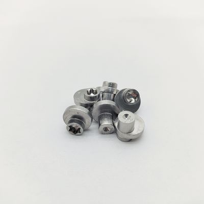 316 roestvrij Torx excentrische schroeven ± 0,3-1,0 mm Offset Elektropolijst