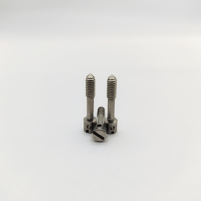 304 Roestvrijstalen Sleufkop Loodverzegelingsschroeven M4 M5 M6 voor Elektriciteitsmeters