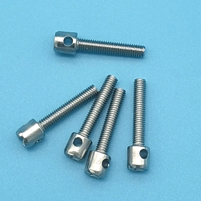 M3 M4 M5 Gegalvaniseerd Lood Seal Schroef Meter Schroeven Cover Bout Geperforeerde Bouten 10mm-40mm Lengte