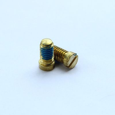 Van de de Schroevenm2x5mm Grootte SS304 van het Nylock Zelfsluitende Metaal Materiële ANSI Norm