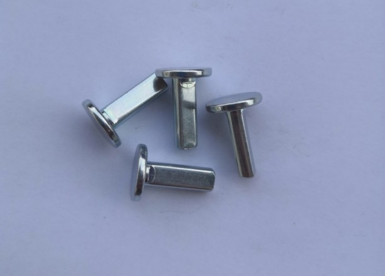ANSI Goedgekeurde bescherming van Pin Environmental van de Metaalscharnier zincplated 15x2mm