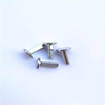 ANSI Goedgekeurde bescherming van Pin Environmental van de Metaalscharnier zincplated 15x2mm