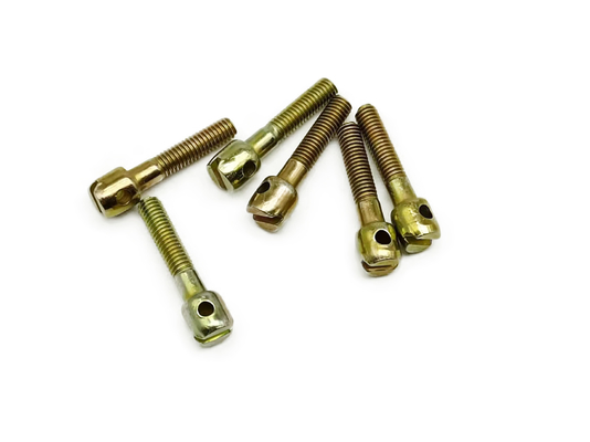 M5 Kleurrijke Zink Elektrische Meter Loodzegel Schroeven Phillips Socket Met Hole Nail