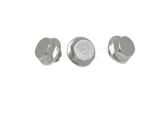 Decoratieve de Schroevenm8x5.5 Vernikkelde Hexagonaal van de Roestvrij staalmachine