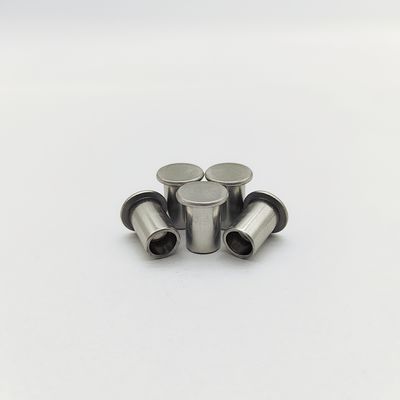 316L Roestvrijstalen Platte Kop Halfbuisvormige Klinknagels ISO 15977