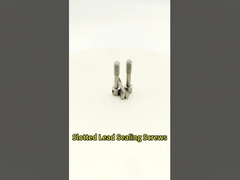 Gleufschroeven voor elektrische meters/Loodverzegelingsschroeven